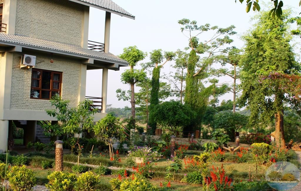 River View Jungle Camp Sauraha Luaran gambar