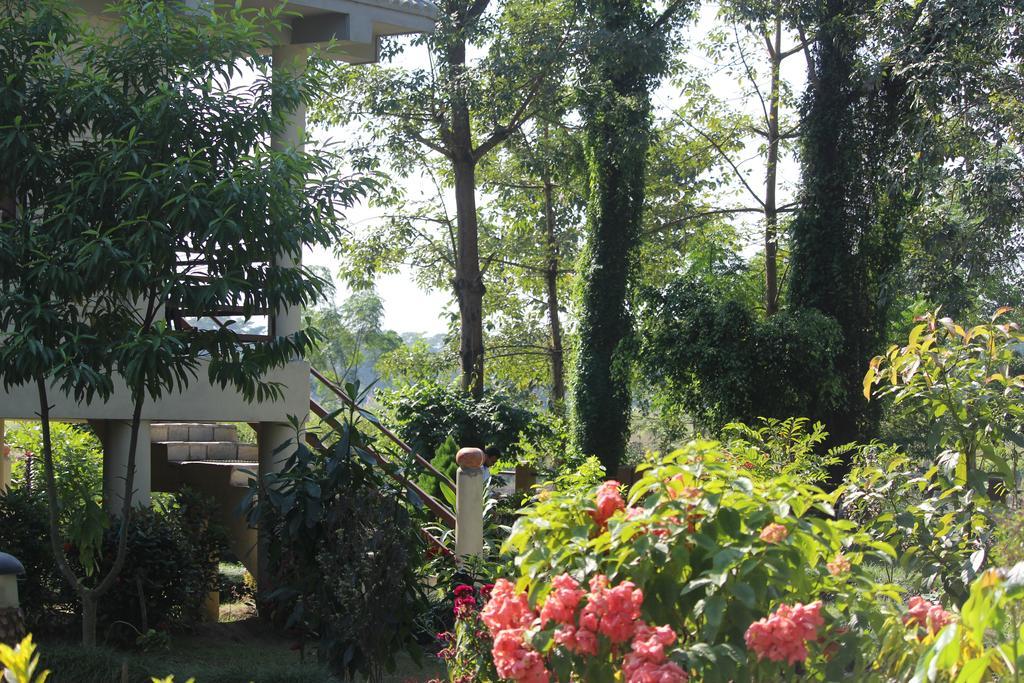 River View Jungle Camp Sauraha Luaran gambar