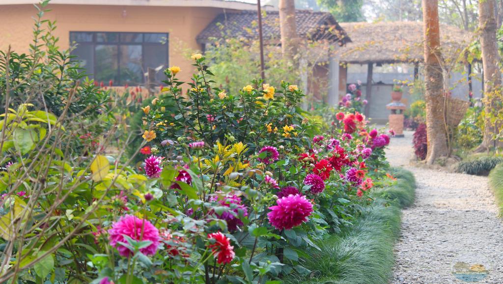 River View Jungle Camp Sauraha Luaran gambar