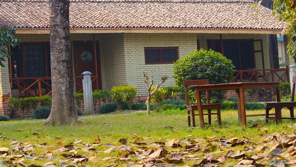River View Jungle Camp Sauraha Luaran gambar