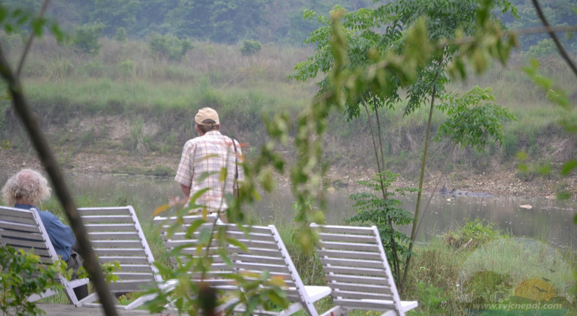 River View Jungle Camp Sauraha Luaran gambar