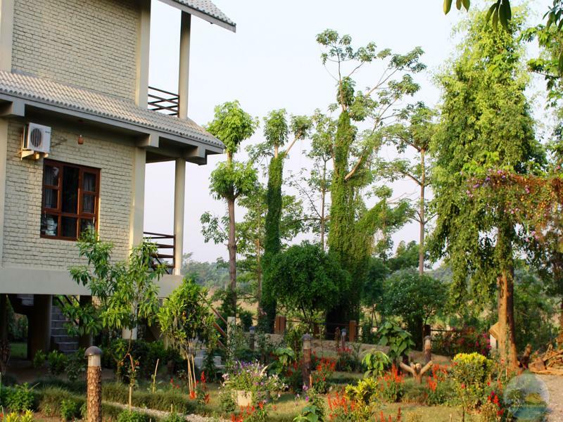 River View Jungle Camp Sauraha Luaran gambar