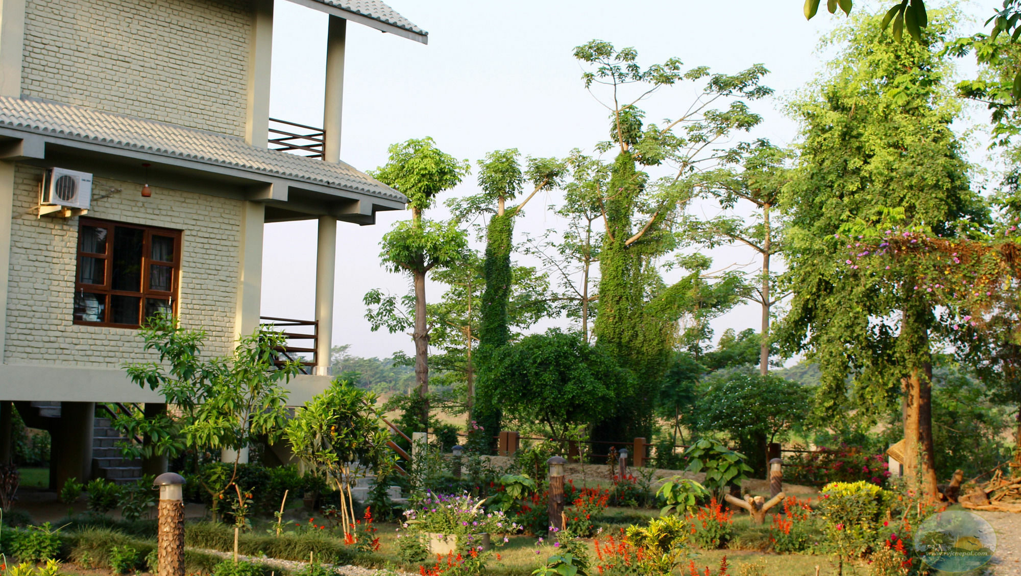 River View Jungle Camp Sauraha Luaran gambar