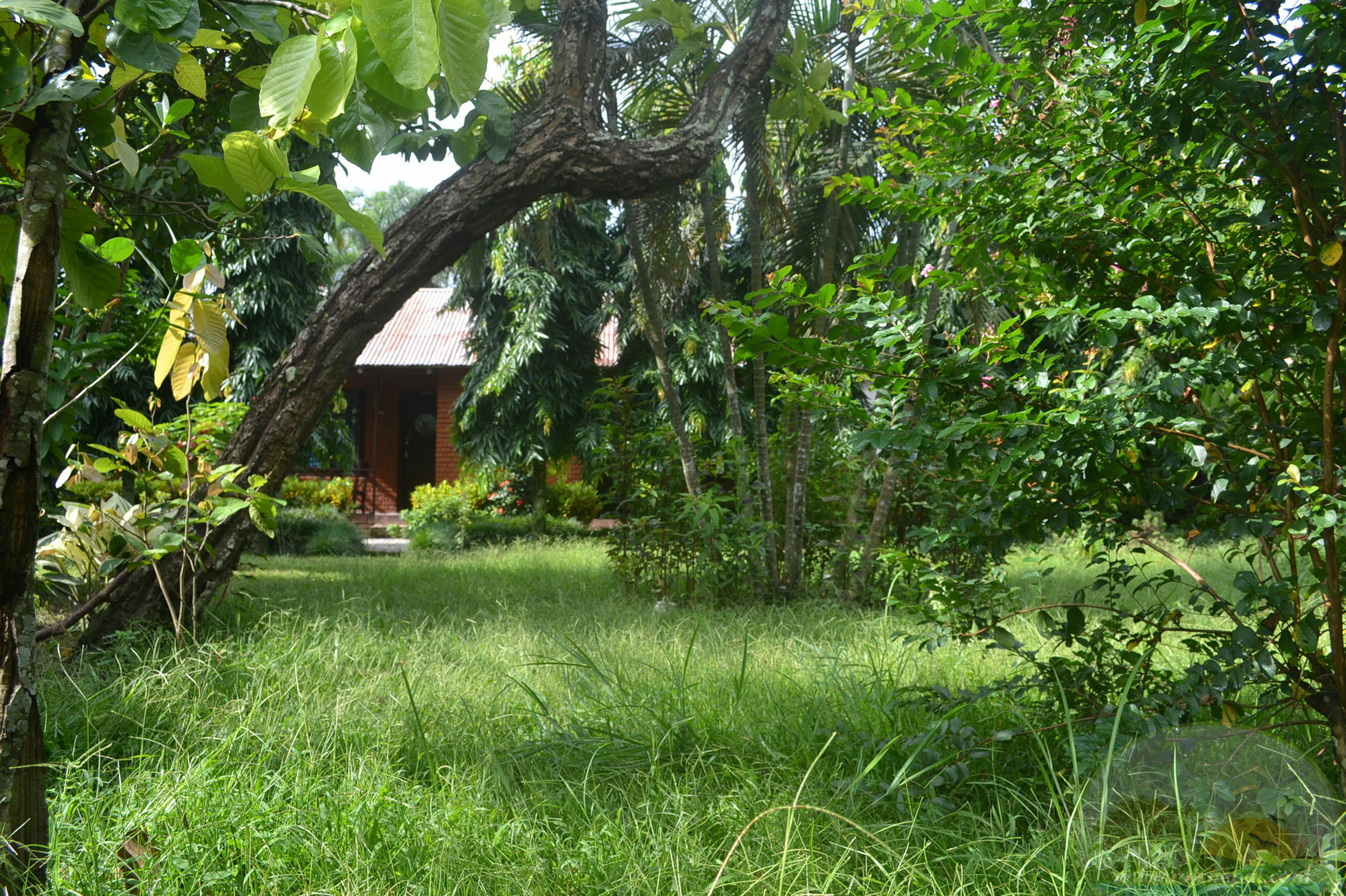 River View Jungle Camp Sauraha Luaran gambar