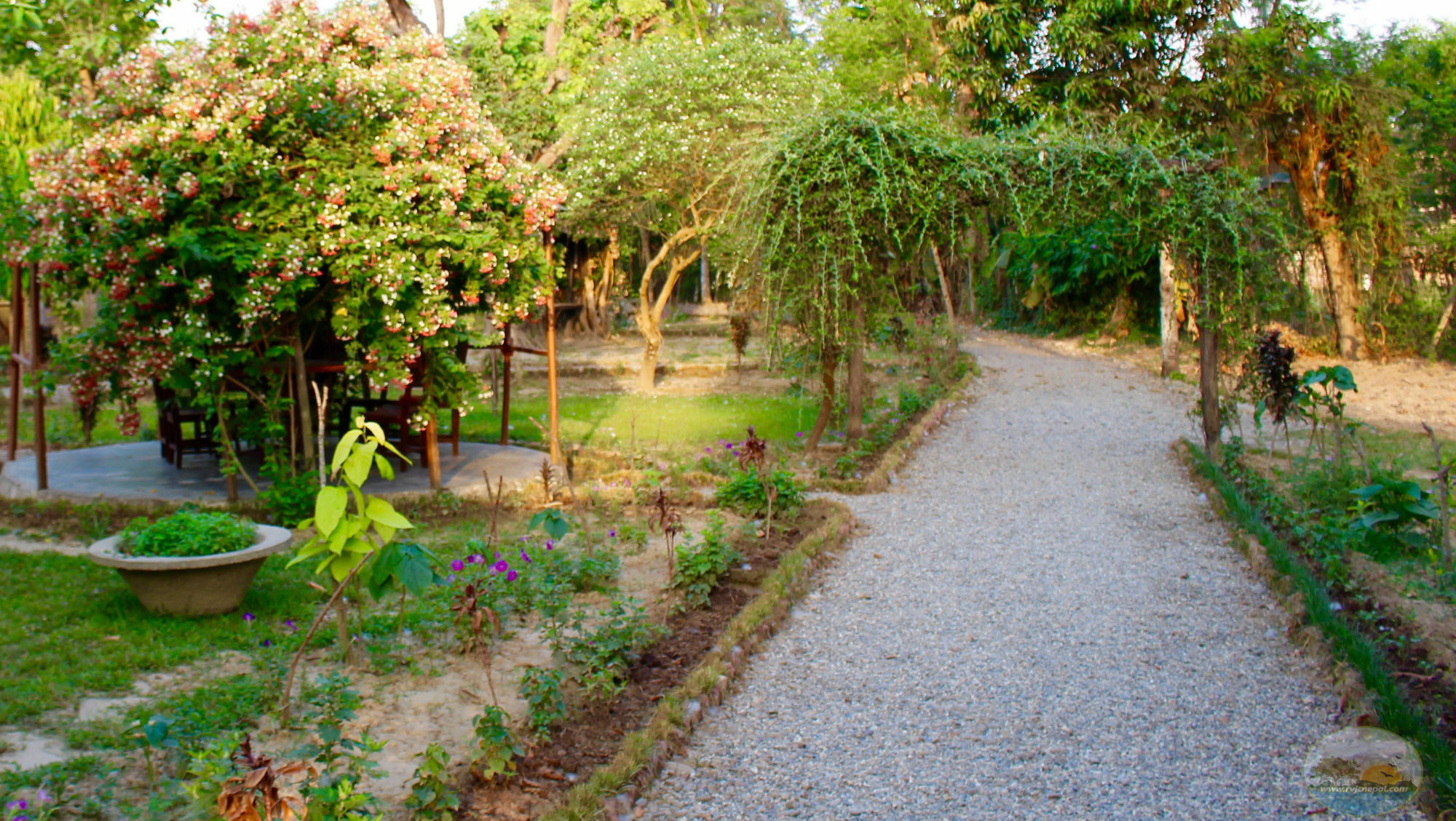 River View Jungle Camp Sauraha Luaran gambar